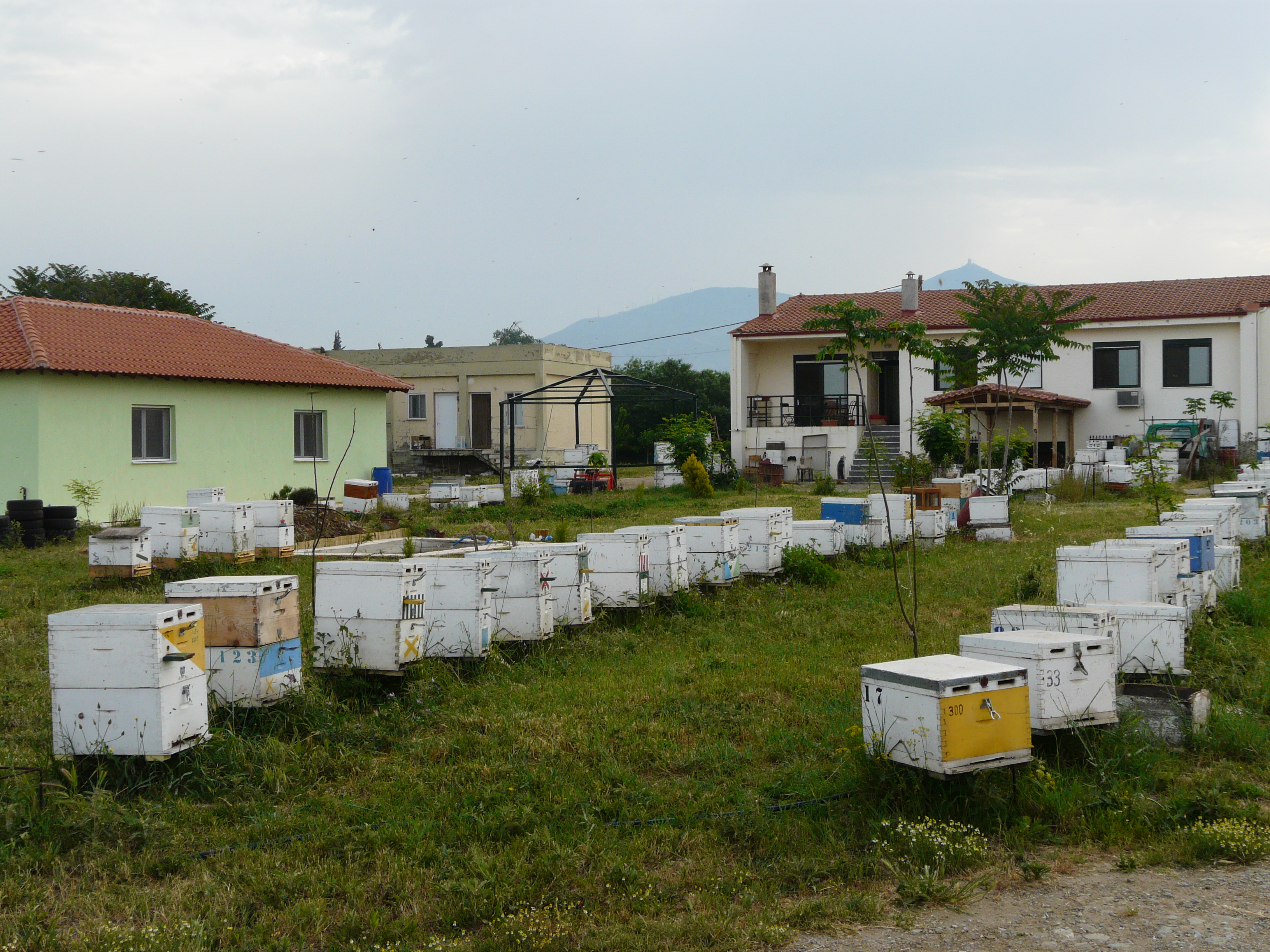 Εργαστήριο Μελισσοκομίας 3